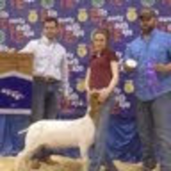 rpclarke55